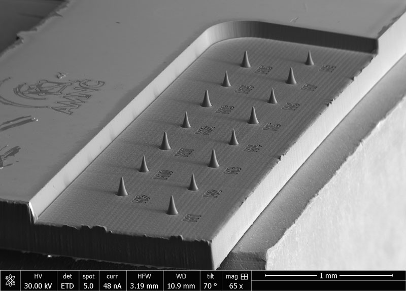 SEM image processed Titanium Nitride on Silicon microtip arrays